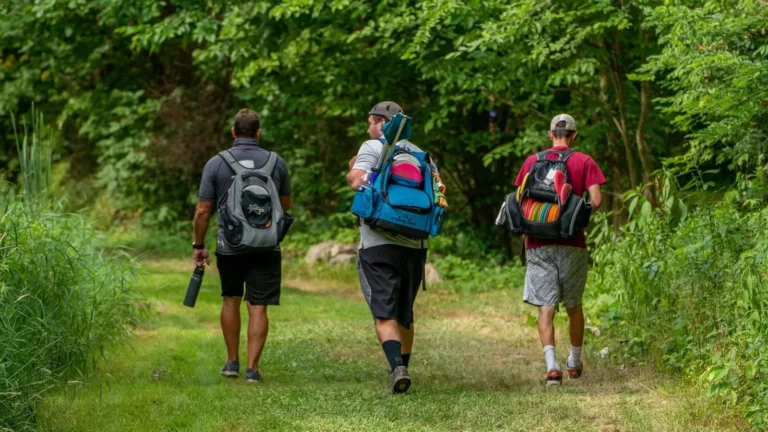 Disc Golf is here to stay!